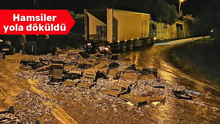 Kapak açıldı, balıklar yola saçıldı