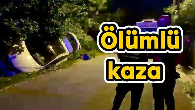 Kazada sürücü hayatını kaybetti
