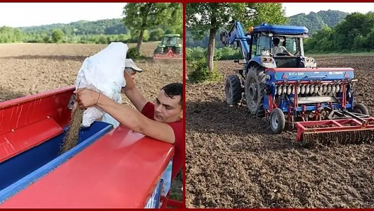 Kenevir ekimine başlandı