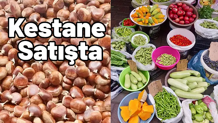 Kestane sezonu açıldı!