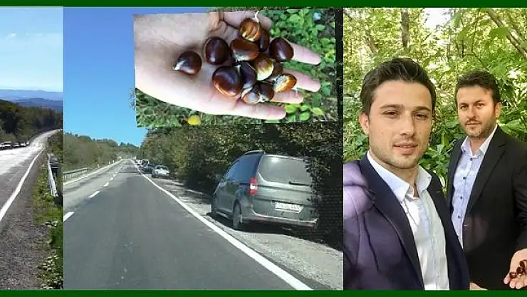 Kestane toplamak için oraya akın ediyorlar