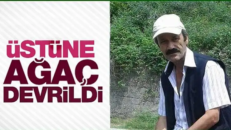 Kestiği Ağaç Üzerine Düştü