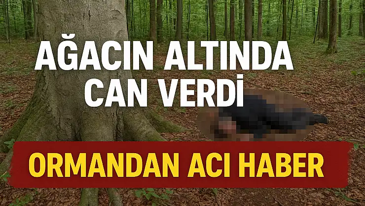 Kestiği Ağacın Altında kaldı