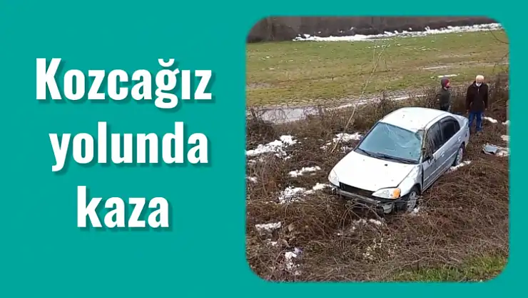 Kontrolden çıktı, şarampole devrildi