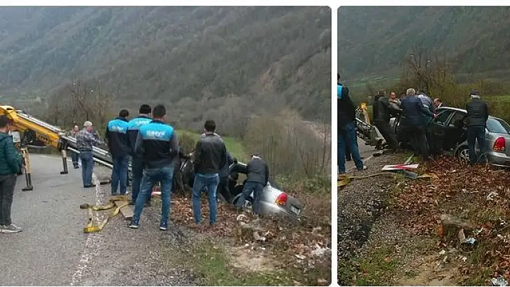 Köpeğe çarpmamak için direksiyonu kırdı