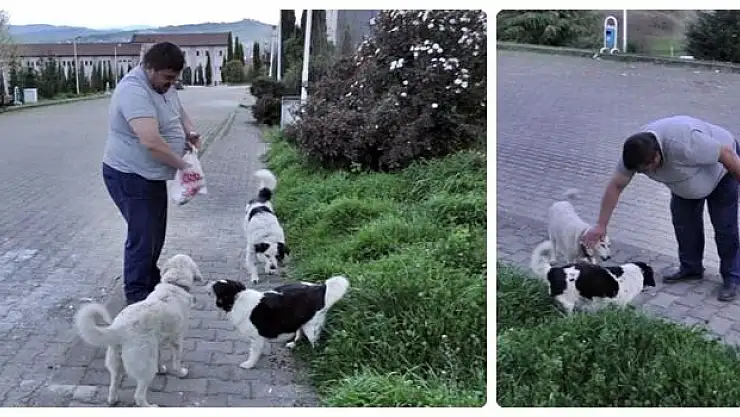Köpeğe Tekme Atan Kişi Özür Diledi