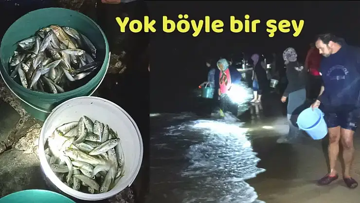 Kovayı alan sahile koştu, inanılmaz olay