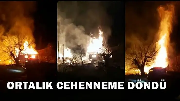 Köyde korkutan yangın