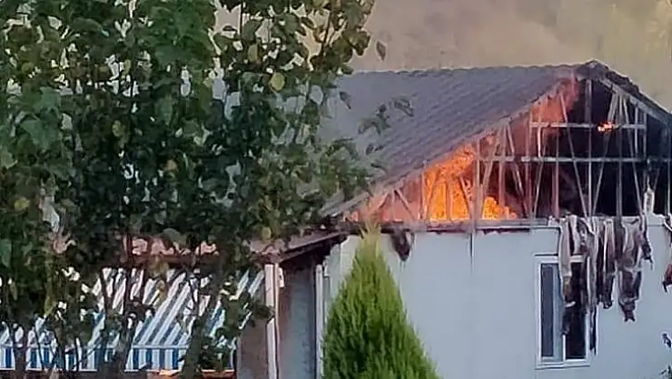 Köyde Korkutan Yangın