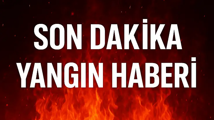 Köyde korkutan yangın