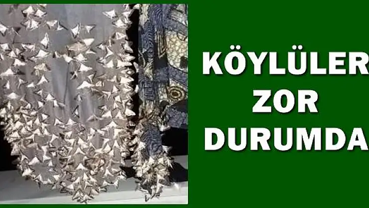 Köylüler ne yapacaklarını şaşırdı