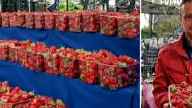 Kozcağız Çileği tezgahlardaki yerini aldı