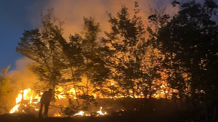 Kozcağız'da korkutan yangın