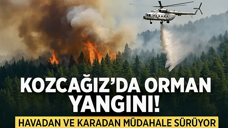 Kozcağız'da Orman Yangını!