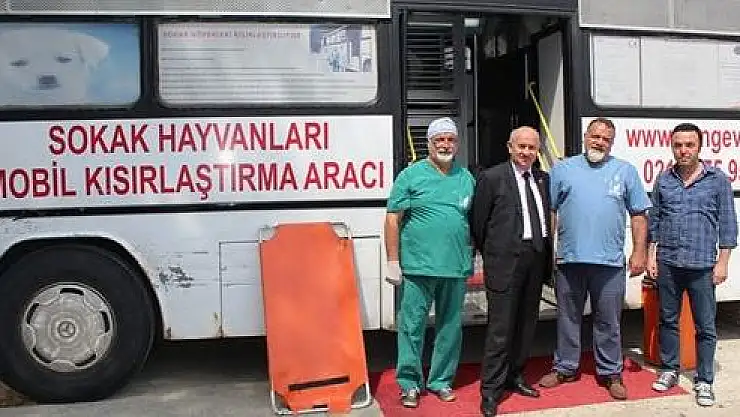 Kozcağız'da sokak köpekleri kısırlaştırılıyor