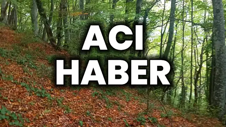 Küçük kız çocuğu hayatını kaybetti