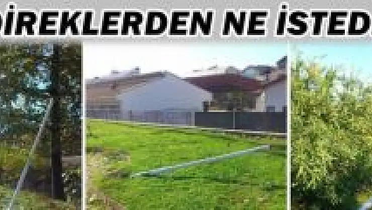 Lambalarını kırıp direkleri söktüler