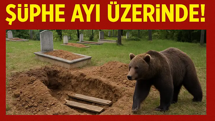 Mezarlığa giden köylüler şok oldu