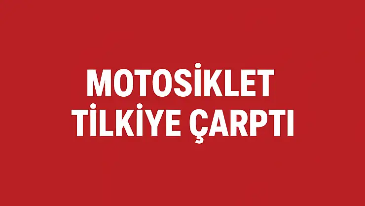 Motosiklet tilkiye çarptı
