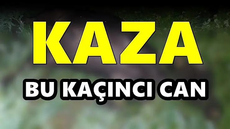 O yolda yine bir can gitti