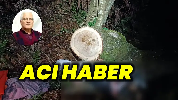 Odun toplamaya gitti, dönemedi