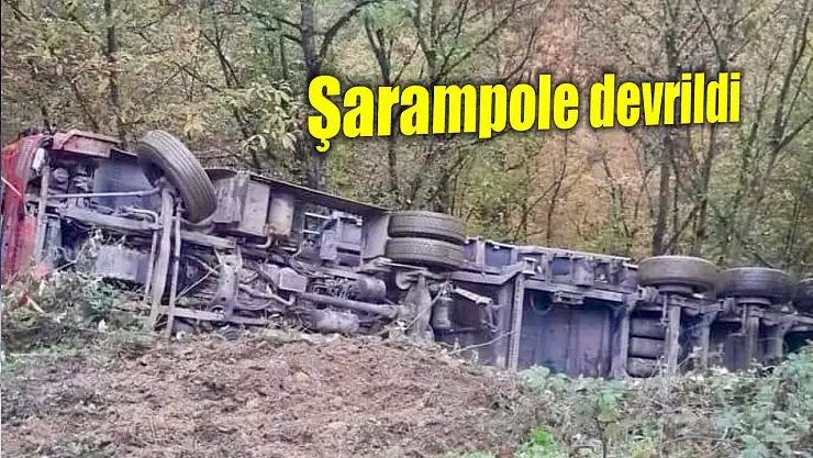 Odun yüklü tır şarampole devrildi