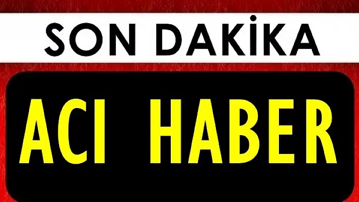 Odunlukta şok manzara