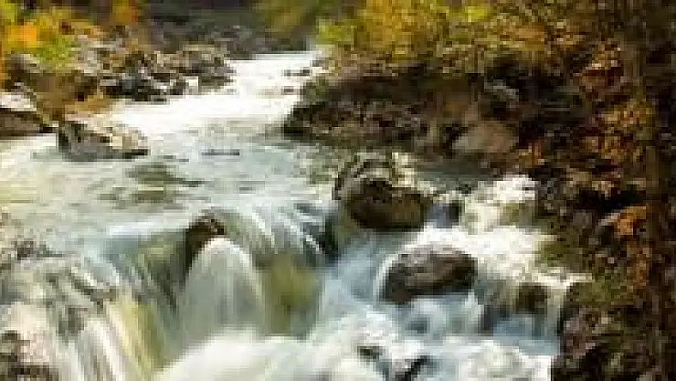 Öğrenciler Sonbaharın Renkleriyle Buluştu