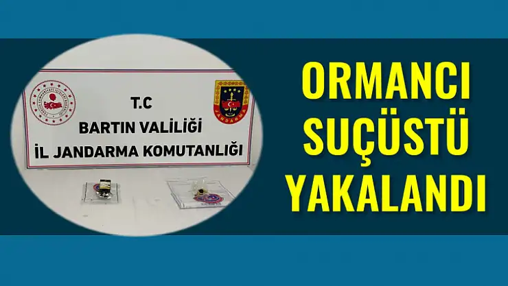 Ormancı suçüstü yakalandı