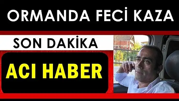 Ormanda kesim yaparken feci kaza