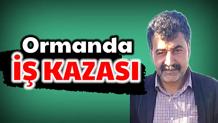 Ormandan acı haber