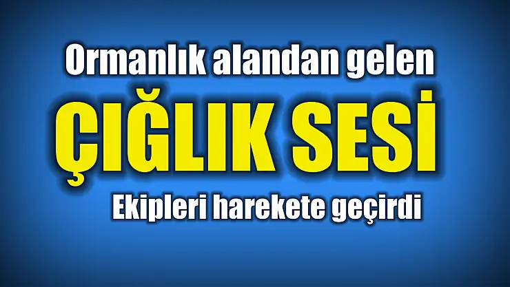 Ormandan gelen çığlık polisi alarma geçirdi