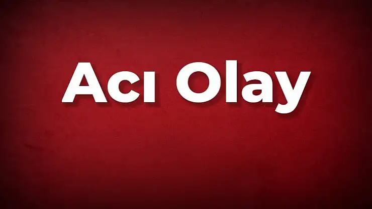 Ormanlık alanda acı manzara