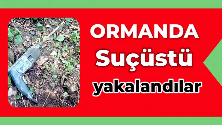 Ormanlık alanda suçüstü
