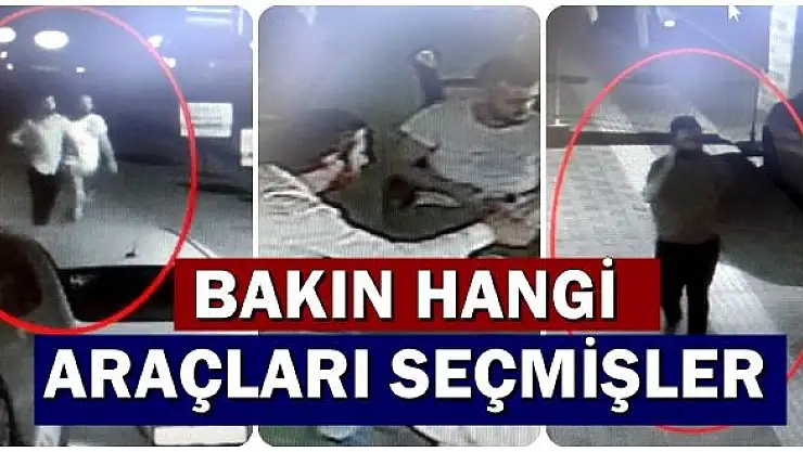Oto Dolandırıcılığı Şebekesi Çökertildi