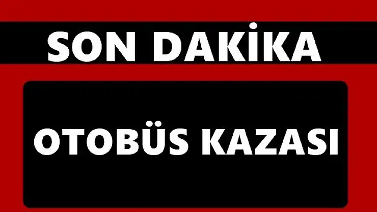 Otobüs şarampole devrildi