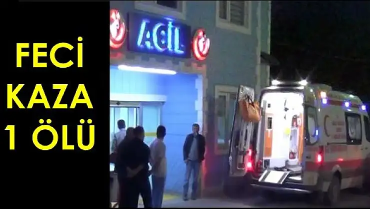 Otomobil Ağaca Çarptı: 1 Ölü, 1 Yaralı  