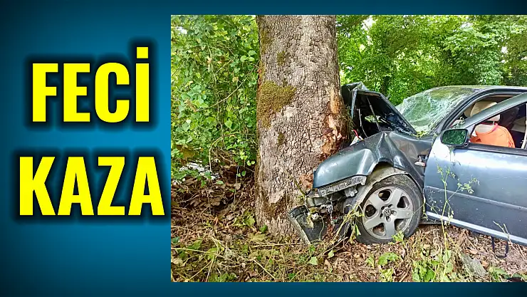 Otomobil Ağaca çarptı, 1 ölü 3 yaralı