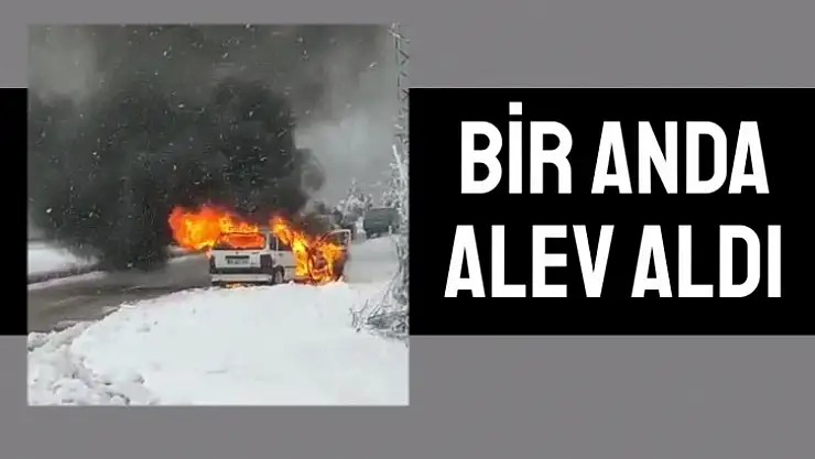 Otomobil alevlere teslim oldu