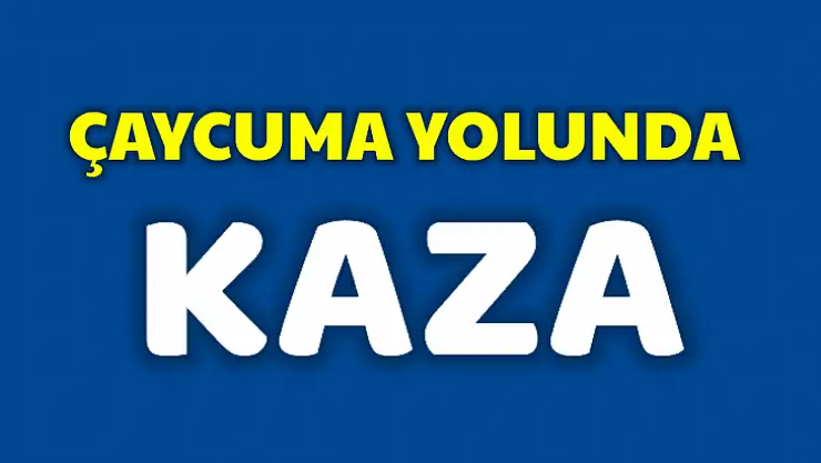 Otomobil bariyerlere çarptı