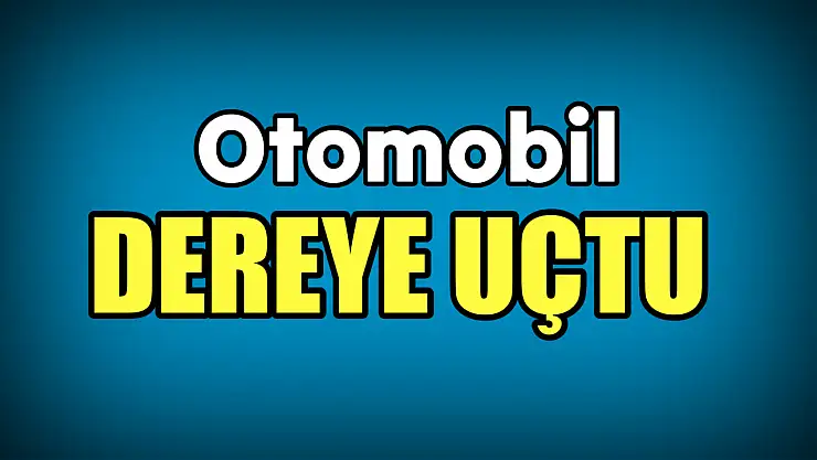 Otomobil dereye uçtu