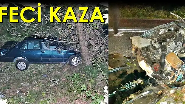Otomobil Şarampole uçtu: 2 Yaralı