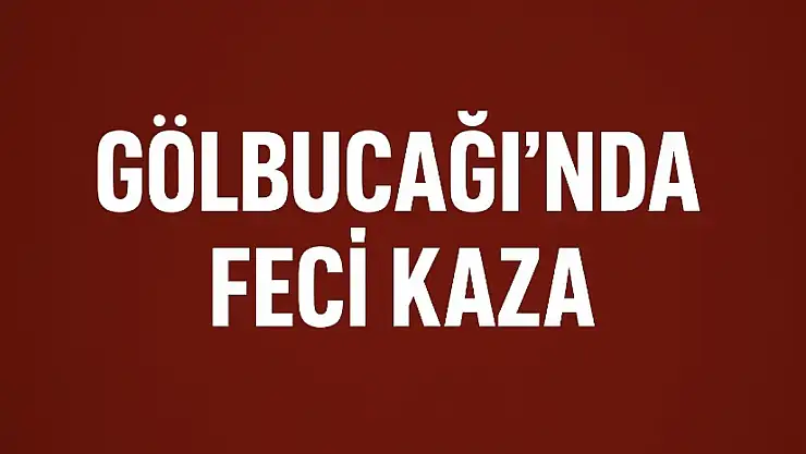 Otomobil tırın altına girdi