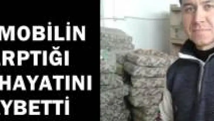 Otomobilin çarptığı işçi hayatını kaybetti