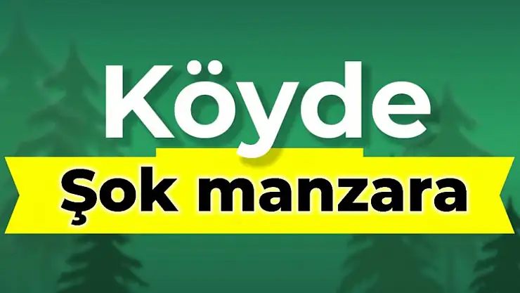 Parçalanmış halde bulundular