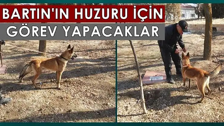 Patlayıcı arayıp iz sürecekler 