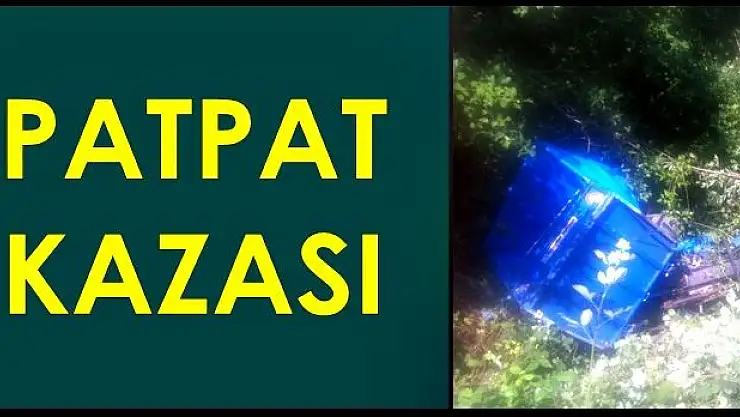 Patpat şarampole devrildi