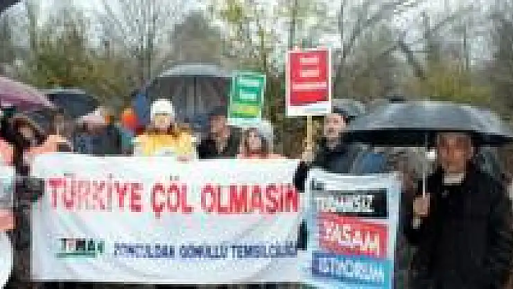 Platform Ağaç katliamını protesto etti