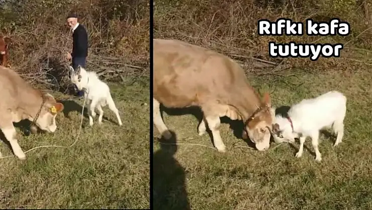 Rıfkı herkese kafa tutuyor