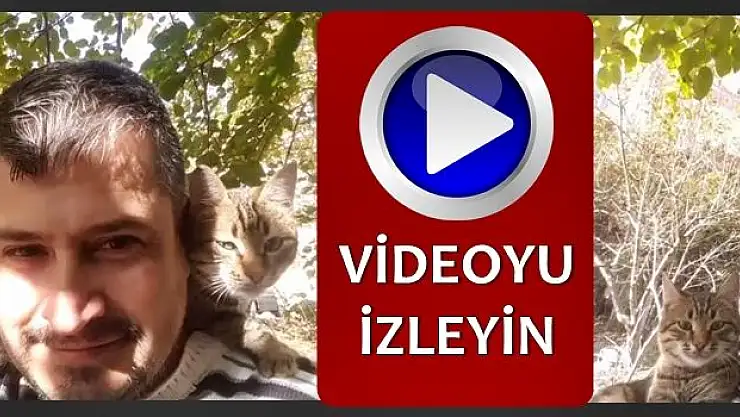 Sahibinin omzunda bakın ne yapıyor!